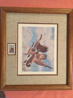 Collectible Ducks Unlimited