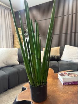 artificial sneak plant