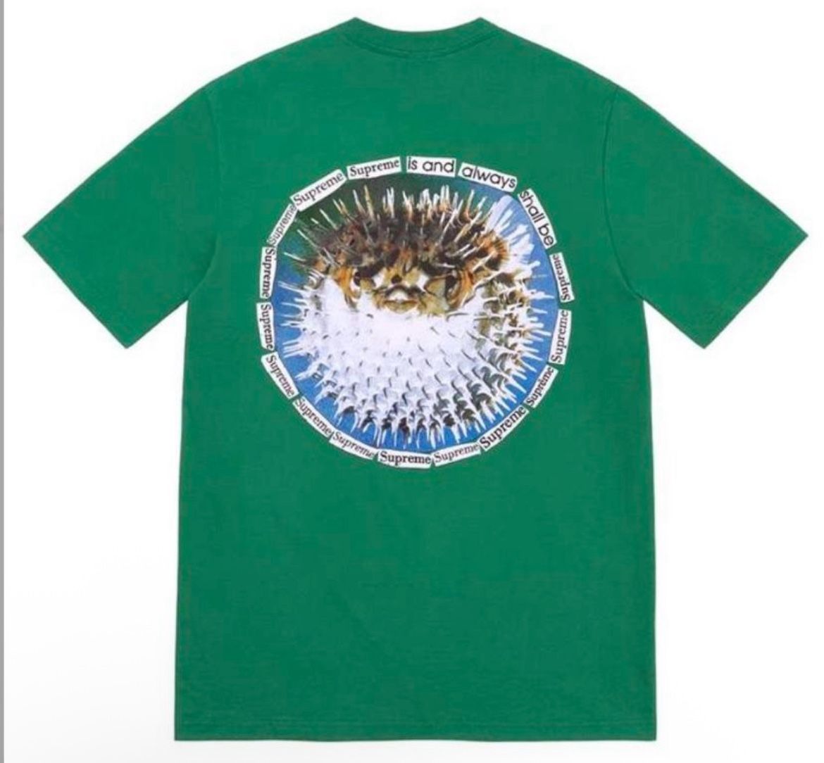 Supreme Blowfish Pine Green Tee Medium