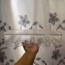 Egg Holder