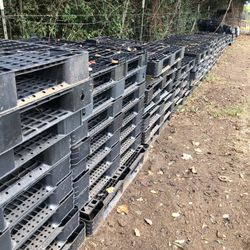 Plastic Pallets  - good used condition 