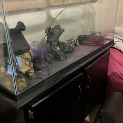 55 gal fish tank