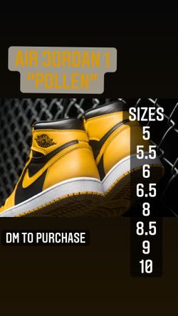 Air Jordan 1 “Pollen”