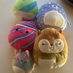 Squishmallow Bundle 