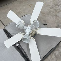 Ceiling Fan