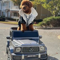 Remote Mercedes Toy Car 