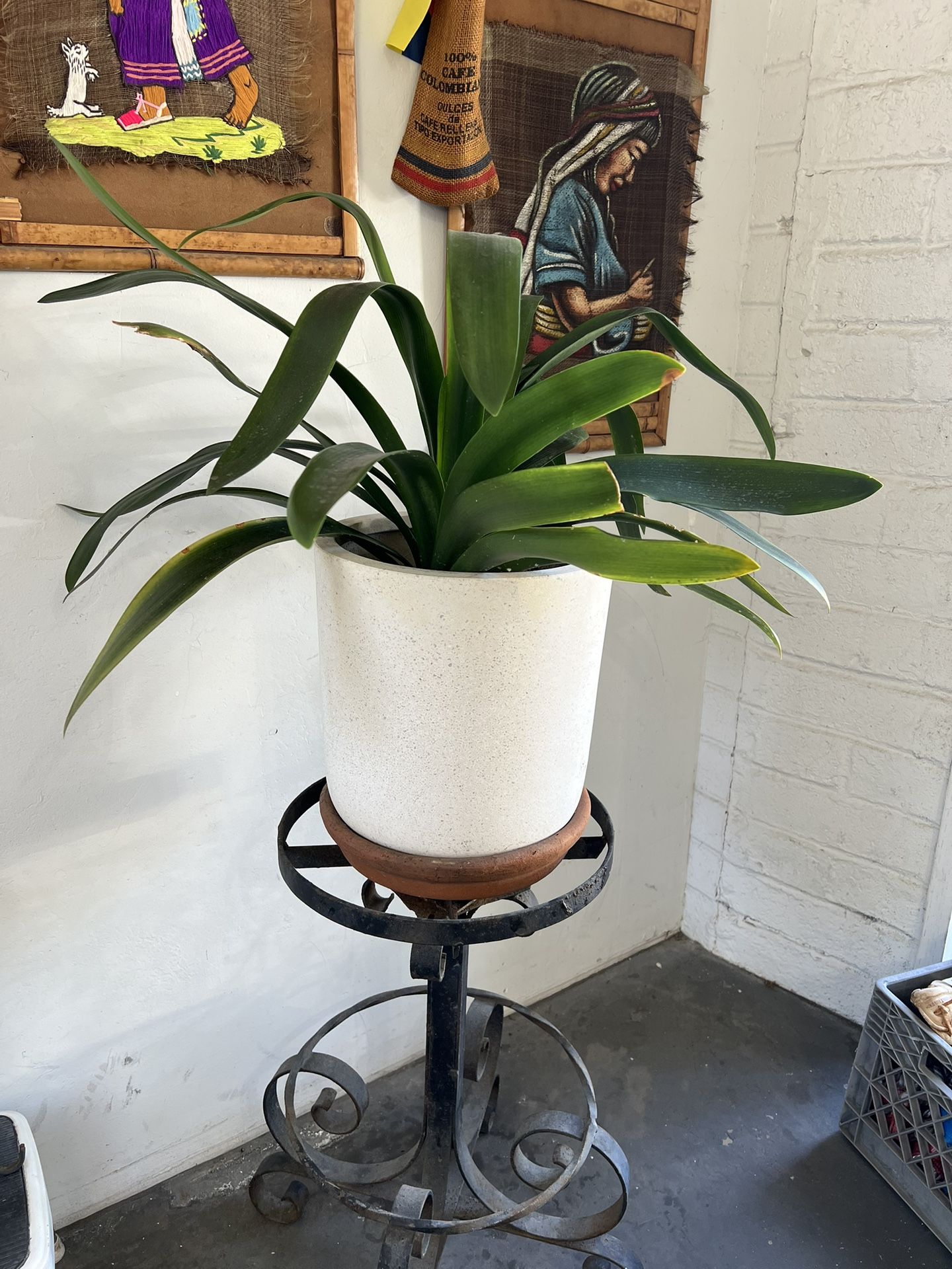 Large Wrought Iron Plant Stand