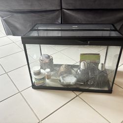 24” Reptile Tank Starter Kit – 22 Gallon Glass Terrarium + Lights & Supplies