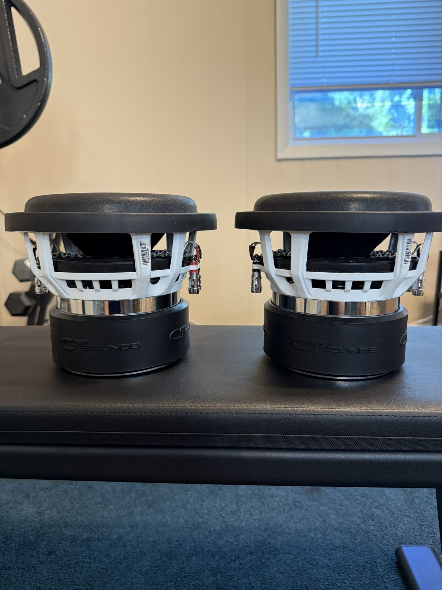 Ct Sounds Strato 8” Subs