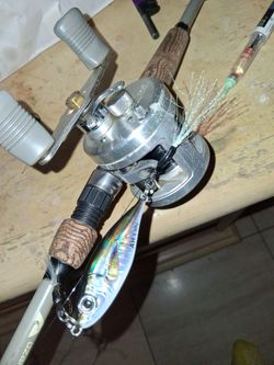 Calcutta Shimano reel