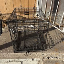 Dog Kennel 