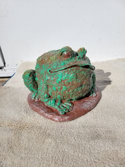Concrete Frog 🐸 Rana De Concreto
