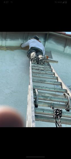24 Ft Ladder 