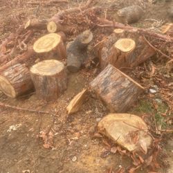 Free firewood, log