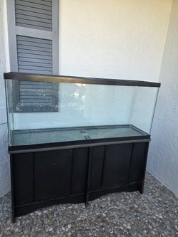 Reptile Tank 55 Gallon With Table