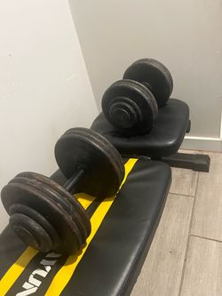 40lb weights each