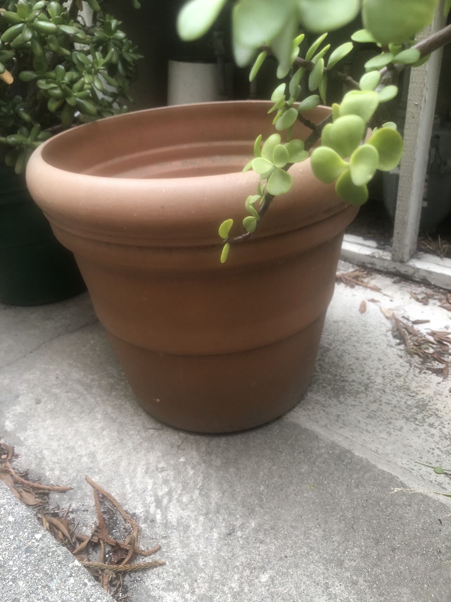 Large Flower Pot