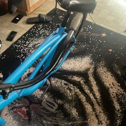 Bicycle Used 