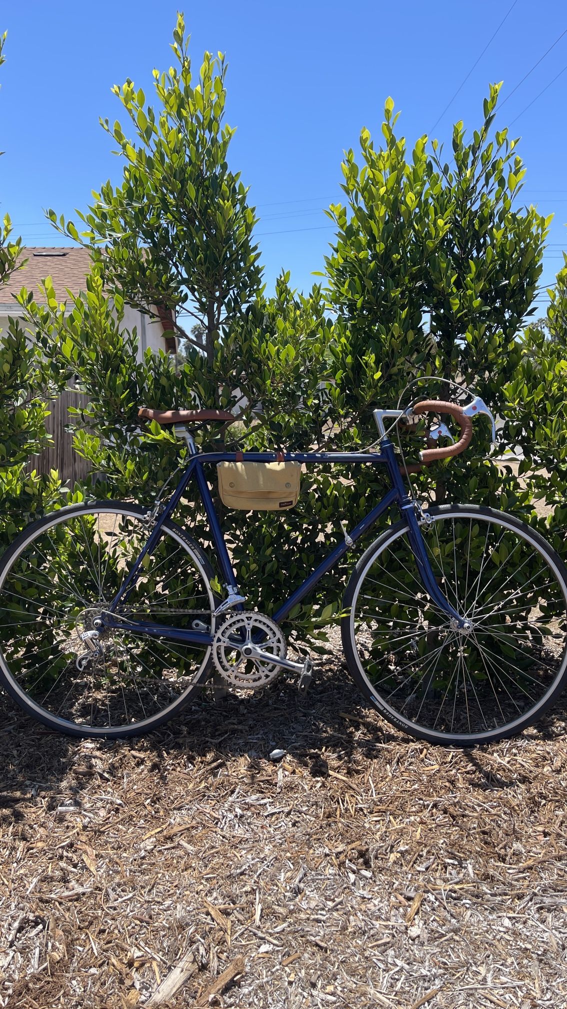 Vintage Road Bike