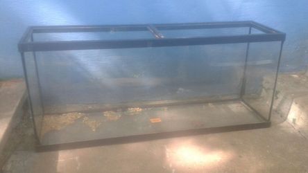 large 50 gallon fish tank glass