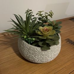 Large Decorative Succulent Decor 