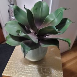 NICE PLANT LOOKS SO SO REAL BUT IT IS ALL FAKE WITH BOTTOM 15