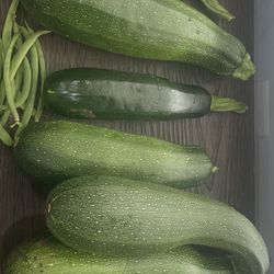 Fresh Zucchini 