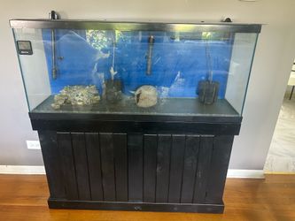 55 gal w/ stand +filter