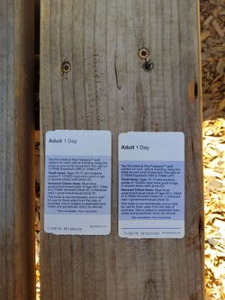 4 all day adult bus passes