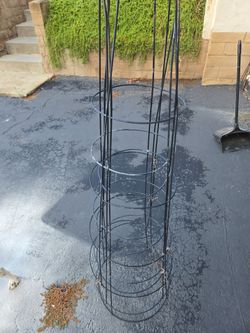 Tomato Cages