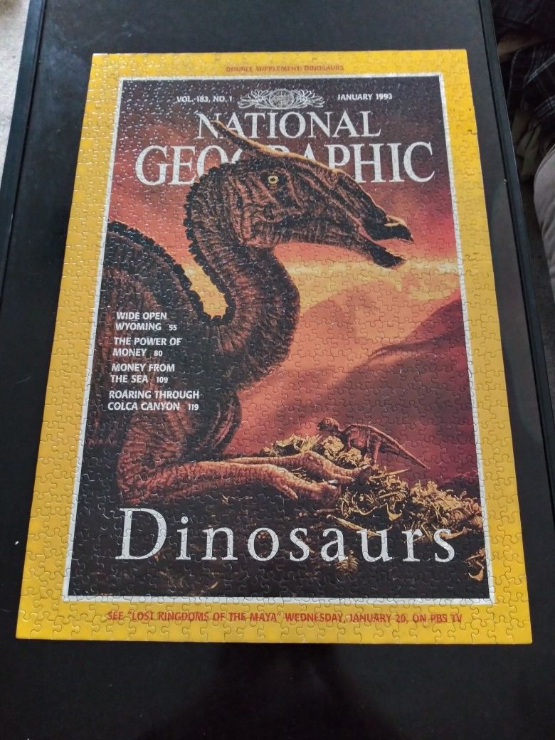 Nice large dinosaur puzzle