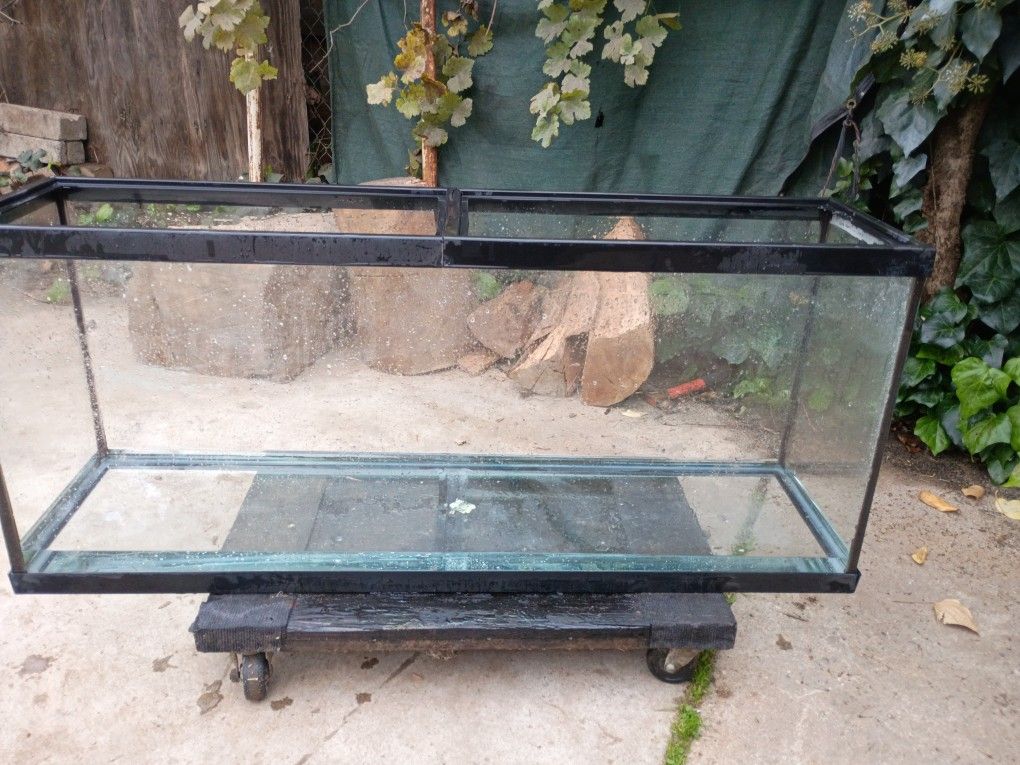 4ft X 1ft Fish Tank 