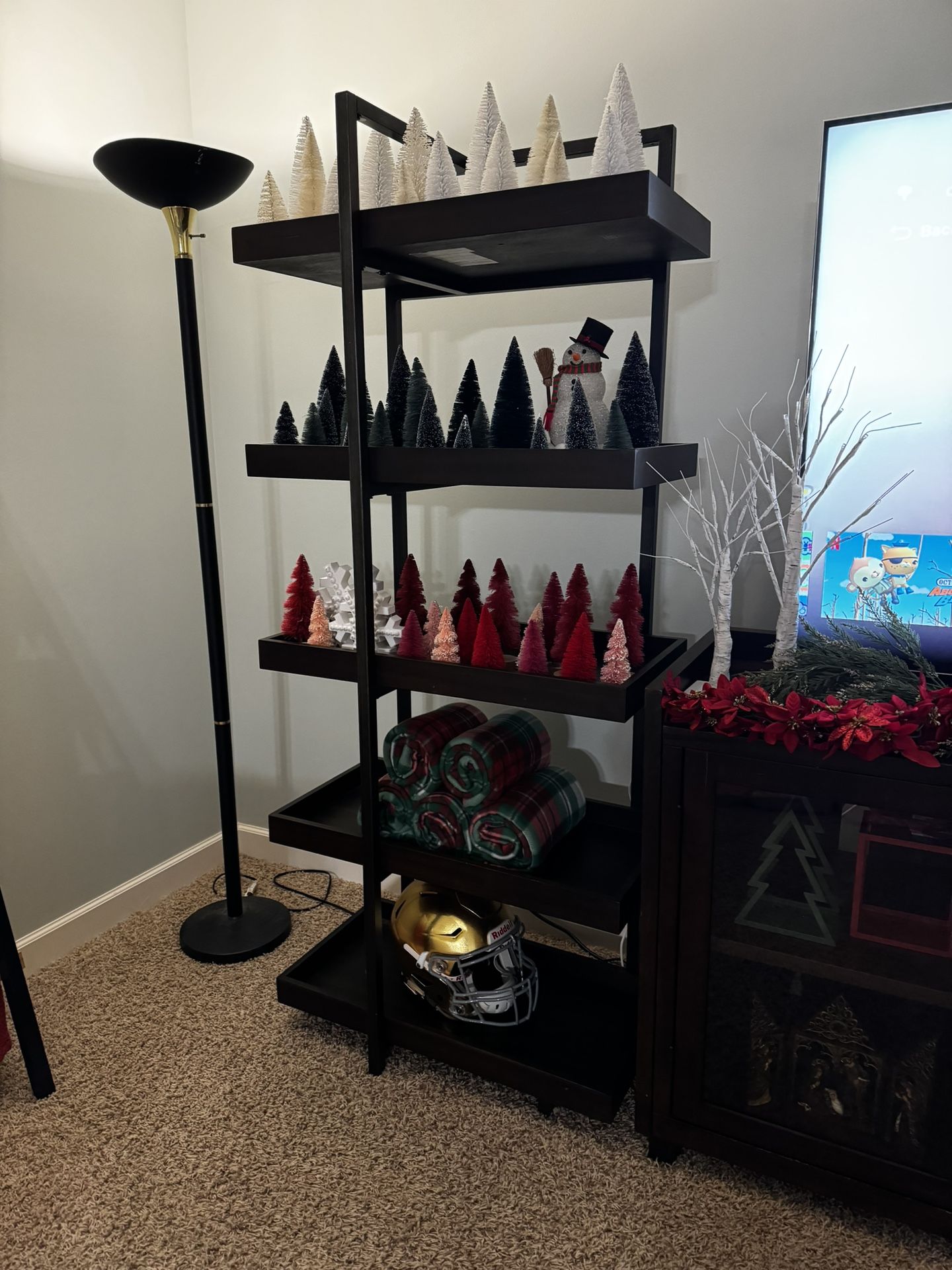Bookshelf