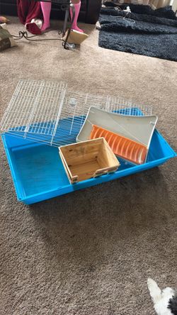 Guinea pig cage