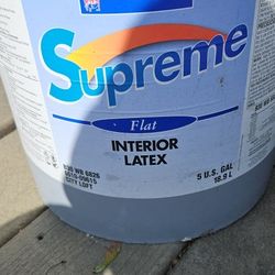 Paint 2 5gallon buckets full Brand new And one  open over half Full
