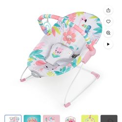 Bright Starts Flamingo Vibes Vibrating Baby Bouncer