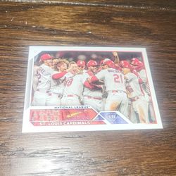 Cardinal Team Card 