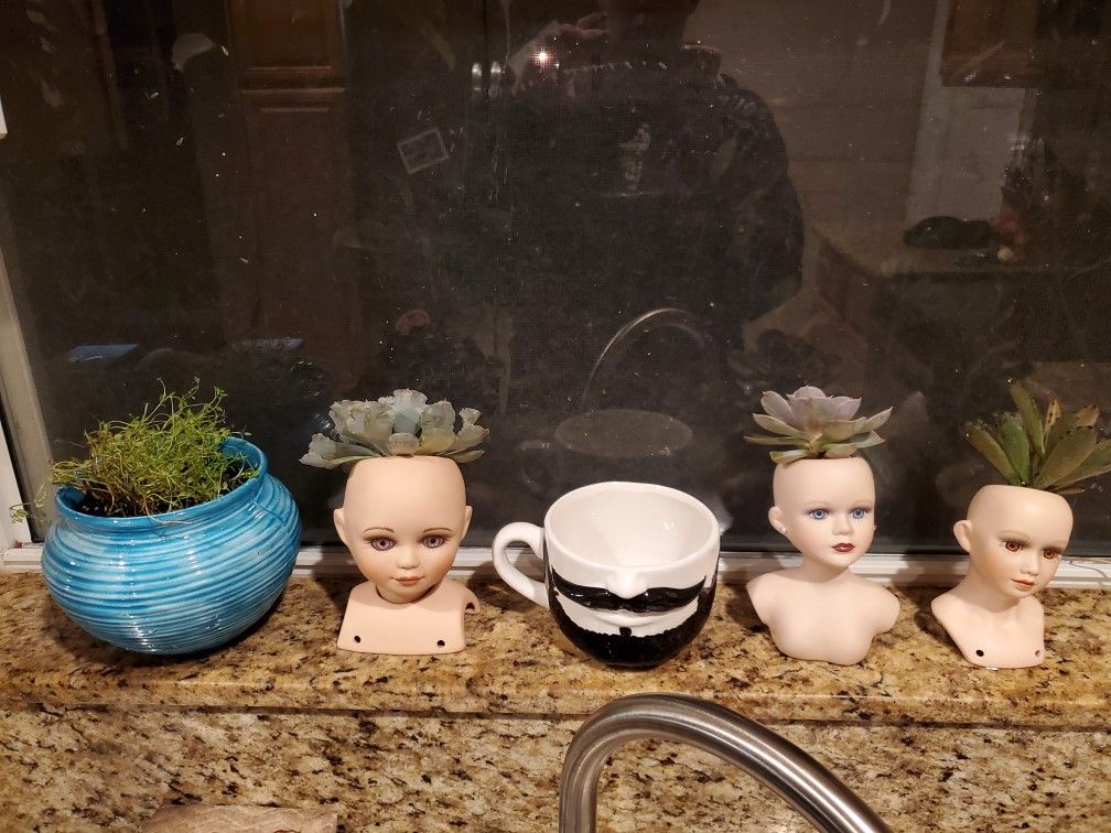 Doll head planter with succulent