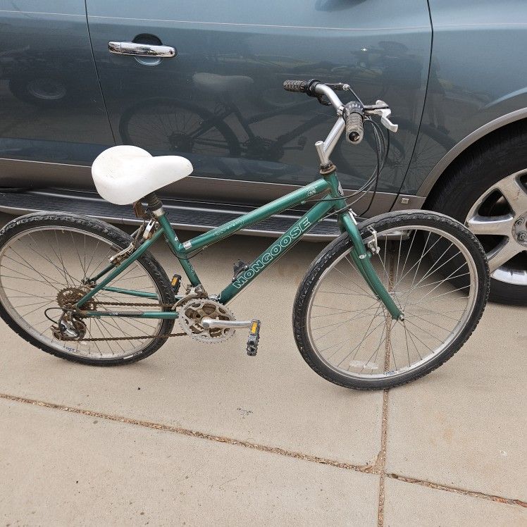 Adult Bike