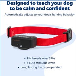 PetSafe Basic Bark Control Collar - Effective & Accurate Bark Detection Collar - Safe & Reliable Training with Multiple Static Stimulation Levels - Wa