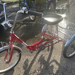 Adult Sun Tricycle 