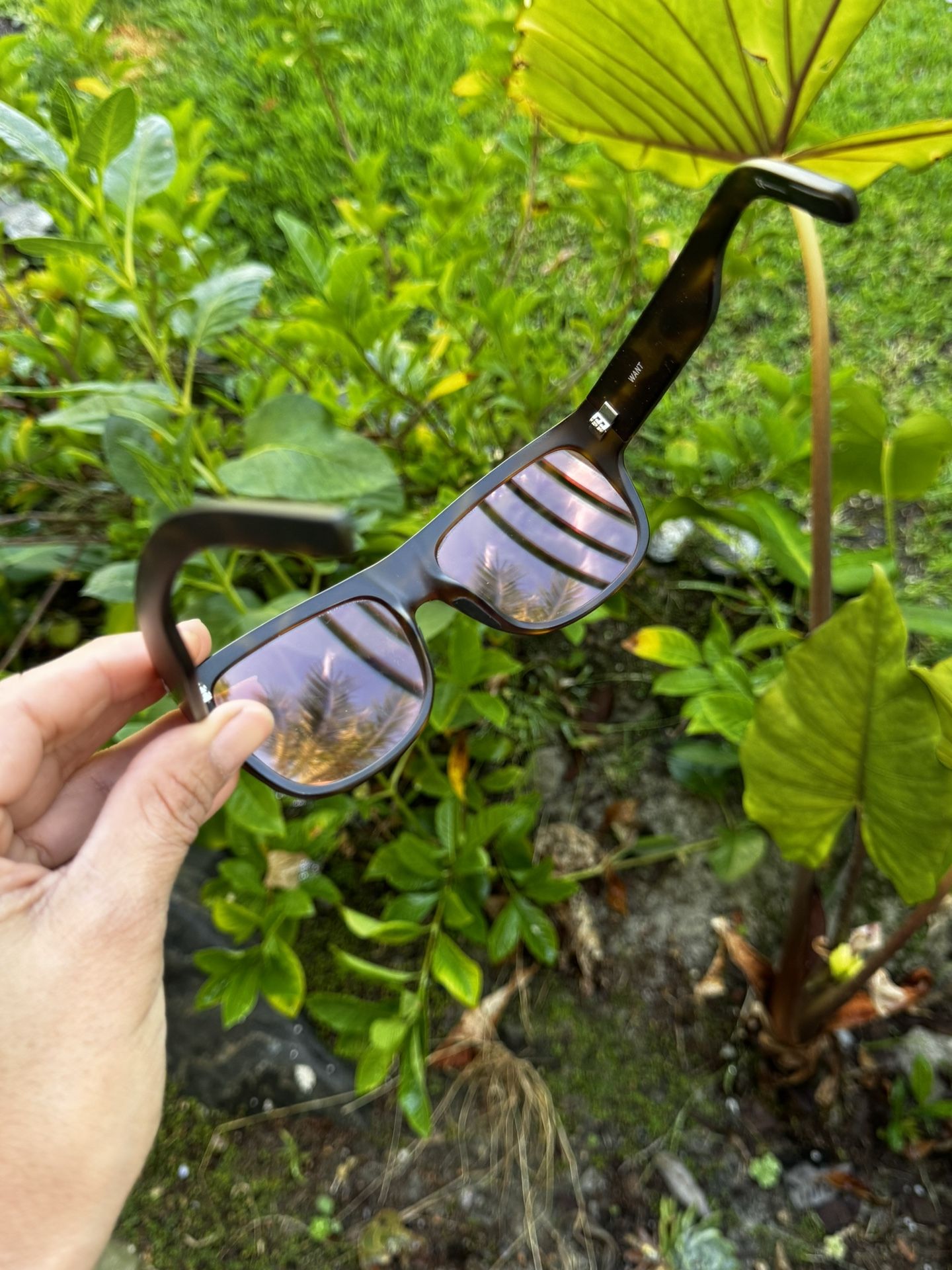 POC Want Sunglasses *Frames Only*