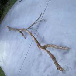 Drift Wood- XL 8 Ft
