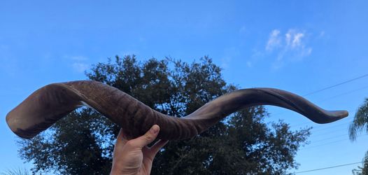 Shofar