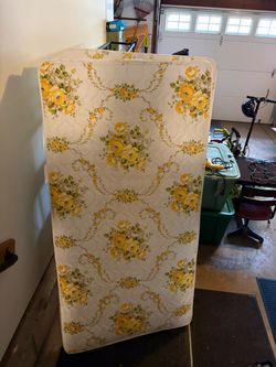 Twin mattress and box spring