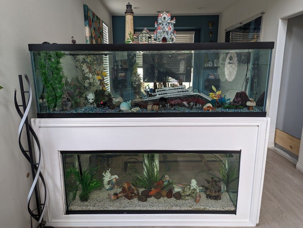 Double Aquariums for Sale