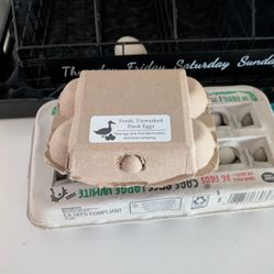 $4/dozen Fresh, Unwashed Duck Eggs!