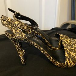 Coach Snakeskin Shoes 6