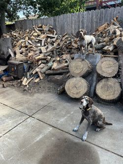 Firewood Fire Wood Camp Wood Oak