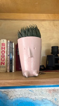 Supa cute lil guy succulent / pot